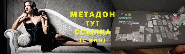 молекула духа Арсеньев