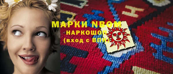 молекула духа Арсеньев