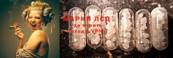 молекула духа Арсеньев